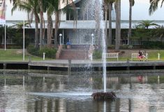 colebee-img2