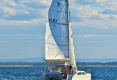 Harbour-Cruises-img-01